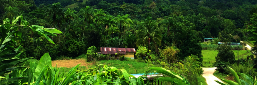 Bauernhaus in Costa Rica vor dicht mit Regenwald bewachsenem Berg