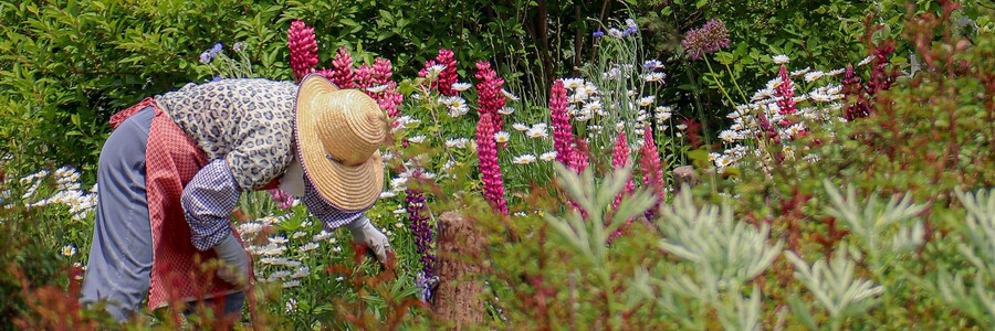 Eine Gärtnerin mit Sonnenhut arbeitet auf einer bunt blühenden Blumenwiese.