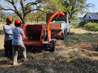 Holz wird gehäckselt