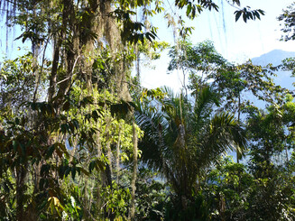 Intakte_Natur_in_der_Sierra_Nevada_de_Santa_Marta