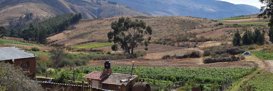 Dicht bewachsene Dynamische Agroforstparzelle im Hochland in Bolivien vor den kahlen Hängen der abgeholzten Anden