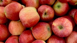 äpfel auf einem haufen