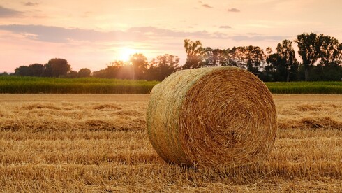 Heuballen auf einem Feld bei Sonnenuntergang