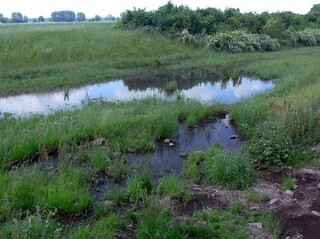 Wiese dient als Überflutungsfläche, auf der sich Wasser staut