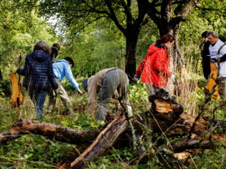 Mehrere Personen sammeln Äpfel vom Boden auf einer Streuobstwiese