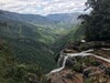 Blick in den Amazonas Regenwald