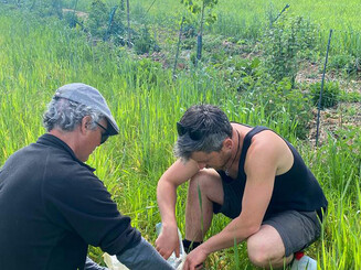 Zwei Personen machen einen Wasserinfiltrationstest im Gras