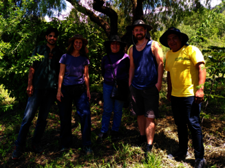 Mehrere Personen stehen auf einer von der Naturschutzorganisation Naturefund angelegten Dynamischen Agroforstparzelle in Bolivien