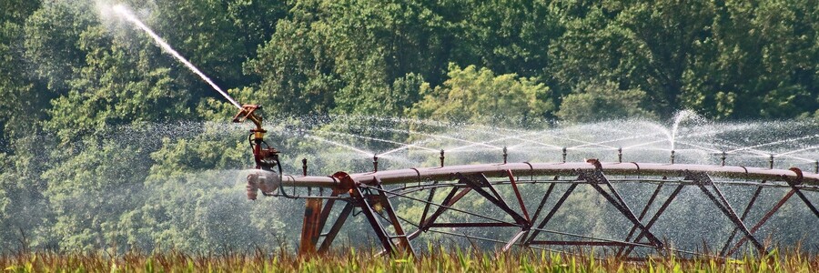 Landwirtschaftlicher Acker auf dem Pflanzen wachsen wird bewässert