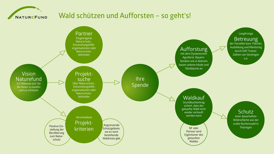 Infografik zur Realisierung von Waldschutz und Aufforstung