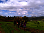 Frauen tragen Blätter und Äste auf ihren Köpfen in Ibity, Madagaskar