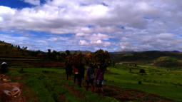 Frauen tragen Blätter und Äste auf ihren Köpfen in Ibity, Madagaskar