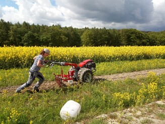 Gräben werden mit einer Maschine auf einem Acker gegraben