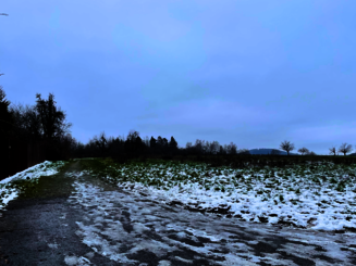 Ausblick auf Feld das mit Eis und Schnee bedeckt ist