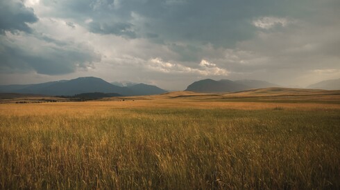 Graslandschaften
