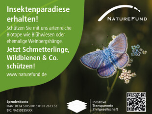 Anzeigenset Insektenvielfalt