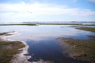 Hochwasser