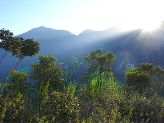 Morgensonne_in_der_Sierra_Nevada_de_Santa_Marta_in_Kolumbien