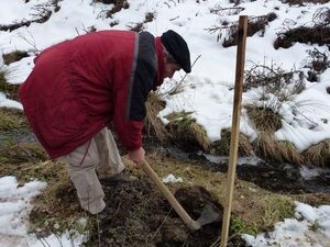 Schnee Aufforstungsfläche Wirftbach 