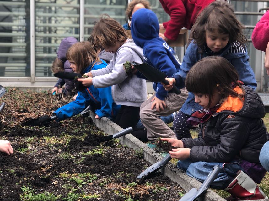 Kinder pflanzen Blumensamen